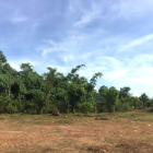 Bán 1,2ha Đất Nhà Vườn Chân Núi Thần Tài Hòa Vang Đà Nẵng 600m Đất Ở. Siêu Đẹp..