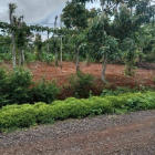 2 lô liền kề giá đầu tư bình thuận thị xã buôn hồ