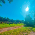 Chỉ còn vài suất ngoại giao giá rẻ như cho!!