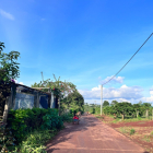 Cần bán đất thổ cư Biển Hồ - Hẻm 294 Tôn Đức Thắng