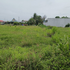 đất ngộp long cang cần thanh lý gấp giá gôc