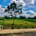 Đất Lộc An- Diện tích 5*21 full thổ cư, sổ hồng đầy đủ, đường tô tô vào tận nơi.