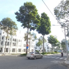 Bán căn góc shophouse Hướng Đông Nam trục Chính