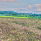 Bán 8.4 sào đất xã Đông - Gia Lai. Đường hiện hữu chỉ 68 triệu/sào.