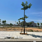 Mở bán 200 lô ngay chợ Chiên Đàn. Tam Kỳ. Quảng Nam giá trực tiếp từ chủ đầu tư.