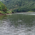 Trên mặt đường nhựa dưới giáp mặt hồ lớn giá chỉ 50 triệu/m ngang, chính chủ