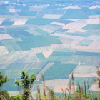 SIÊU HIẾM ĐẤT NỀN VIEW NÚI BÀ ĐEN, TÂY NINH 100M2, 5x20m GIÁ CHỈ TỪ 450 TRIỆU