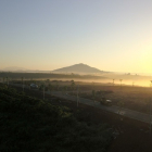 Bảo Lộc đồi mơ , thơ mộng. SHR, tọa lạc vị trí đắt địa