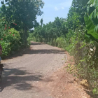 Bán đất vườn xoài gia đình ngay đối diện KCN Định Quán cách QL20 1km giá 800tr