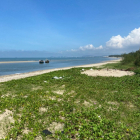 Bán 1,4ha đất mặt tiền biển Phước Hưng - Long Điền - Bà Rịa Vũng Tàu