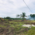 Cần bán nhanh vườn trái cây tại Ngọc Định Định Quán. Giá 799tr/1000m2