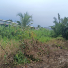 Đất thổ Châu Thành Long An chỉ 1,8tr/m2 giá rẻ cho nhà tư