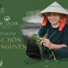 THE OCHA BIỆT THỰ NGHĨ DƯỠNG CAO CẤP HOT NHẤT BẢO LỘC
