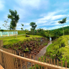 BÁN BIỆT THỰ VƯỜN TẠI TÂN LẠC, BẢO LỘC, LÂM ĐỒNG 396M2 CHỈ 5,8 TỶ-Bds Bảo Lộc 25