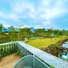 BÁN BIỆT THỰ VƯỜN TẠI TÂN LẠC, BẢO LỘC, LÂM ĐỒNG 330M2 CHỈ 2,9 TỶ-Bds Bảo Lộc 28