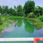 MT sông Phước Khánh - Nhơn Trạch đường ô tô 1 sẹc 1100m2 giá 950tr