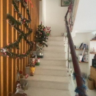 BDS HUNGVILAND Cho thuê MTNB Tăng Nhơn Phú 90 m² 3T Giá 17 tr 19/02/2023