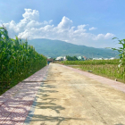 350tr sở hữu lô 160m2 thổ cư KDC Chợ Phú Hương KCN Primer