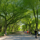 Biệt thự đơn lập Aquaria, giá gốc CĐT Nam Long, liền kề Bến du thuyền. 49tr/m2