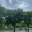 Bán nhà c4 mặt tiền Nguyễn Cửu Vân Bình Thạnh Giáp Quận 1 75m2 chỉ 15 tỷ 4 TL