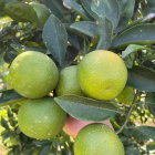 Bán nhanh lô đất 4hecta trong đó có 400m2 đất ở vieww sông cude Hòa Bắc Đà Nẵng