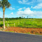 Bán đất nhà vườn nghĩ dưỡng 1000m2 (10x100) –  chỉ 1,4tr/m2. Túc Trưng, Định Quá