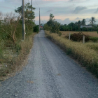 CC bán đất KDC ấp 5, xã Phước Vân, Cần Đước Long An, gần chợ Gò Đen.