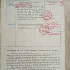 BÁN GẤP 534m2 đất vườn đường ô tô lớn tại Ấp 5, Hưng Long, Bình Chánh