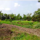 Bán nhanh Đất vườn 1693m2 có đường xe ô tô vào gần UBND xã Hưng Long