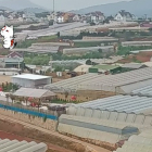 Bán đất Trại Mát phường 11 Đà Lạt