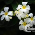 eqwjhev eqwkjeh ejkqwhebqwjhveb eqhwgeqwjgeqwjhev eqwkjeh ejkqwhebqwjhveb eqhwge