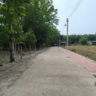 Chỉ 7xx/300m2, ĐẤT NỀN GIÁ RẺ NGAY TẠI BÌNH DƯƠNG