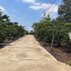 Bán 2.4 ha ngay gần TT Bảo Lộc