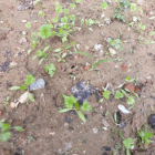 Đất sổ đỏ 120m2 đường Nguyễn Trường Tộ, Hưng Đông, Vinh, Nghệ An