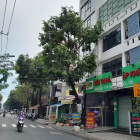 BÁN NHÀ 4 TẦNG,MẶT TIỀN ĐƯỜNG THẠCH LAM,TÂN PHÚ,DIỆN TÍCH TO, 8x23. GIÁ 25 tỷ