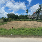 Mặt Tiền Đường Nhựa TDP Vĩnh Nguyên Phong Điền Huế Giá Siêu Rẻ️