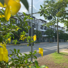 Bán nhà phố 4 lầu diện tích sử dụng 187m2 tại thị trấn Bến Lức - Chính chủ