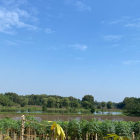 Chủ cần bán gấp lô đất nghỉ dưỡng giáp khu du lịch, 1,4ha, trong đất có hồ