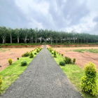 đất nền bình phước giá đầu tư f0