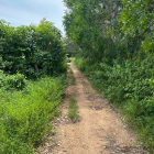 Bán đất vườn bình thuận ven biển hoà thắng giá rẻ 185tr có sổ đẹp Lh 0938677909