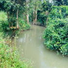 120 - 500m2, giá từ 500 - 600 triệu, sẳn sổ đỏ thổ cư. Xã Lộc phú, huyện Bảo Lâm