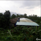 Bán Đất Trồng Cây Lâu Năm 20.000 m² Tại Đà Nẵng – Gần Đường Tránh, Khu vực Hoà N