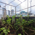 GẤP BÁN NHÀ NGUYỄN NGỌC LỘC - QUẬN 10 - 4 Tầng – 38m2– HẺM 3M - CHỈ 4.X TỶ