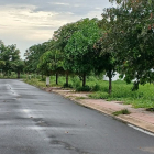 Chính Chủ cần bán gấp lô đất đường D12 dự án The Sol City