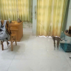 Chính chủ cần bán gấp nhà phố, sổ hồng riêng