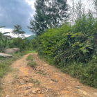 5.6ha có suối đường xe bán tải cách dân cư 1.2km giá 850tr tại khánh hòa