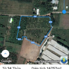 Bán 1,6ha Đất Tại Xuân Thành, Xuân Lộc - Vị Trí Đẹp Đường Lớn