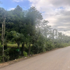 Bán Đất Mặt Tiền Đường Thanh Sơn, Định Quán, Đồng Nai