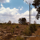 Bán 7,1 Sào Đất Trồng Chuối Tại Sông Trầu, Trảng Bom