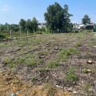 Bán 1 Sào Đất Tại Phước Tân - Vị Trí Đắc Địa